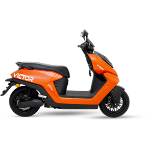 Vector